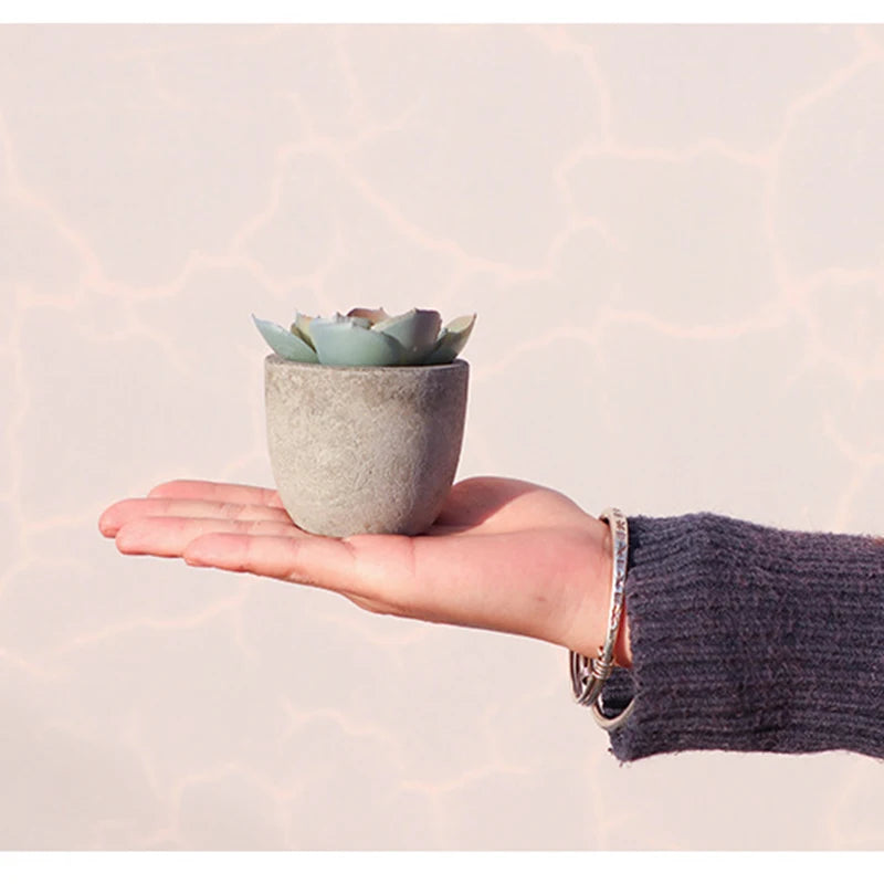 Aloe I Mini Kunstpflanzen
