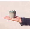 Aloe I Mini Kunstpflanzen