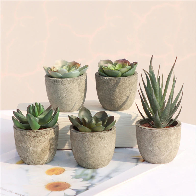 Aloe I Mini Kunstpflanzen