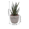 Aloe I Mini Kunstpflanzen
