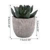 Aloe I Mini Kunstpflanzen